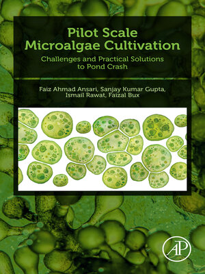 cover image of Pilot Scale Microalgae Cultivation